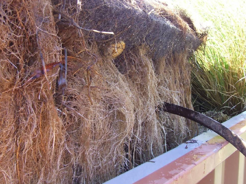 百奧源®浮動濕地根系發(fā)達，密度大大高于人工濕地